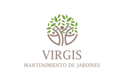 VIRGIS