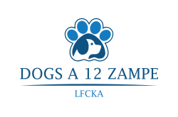 DOGS A 12 ZAMPE