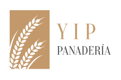 logo Y I P