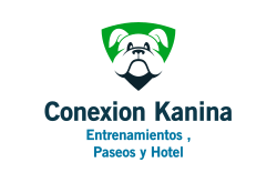 logo Conexion Kanina