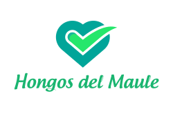 logo Hongos del Maule